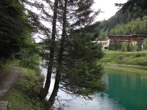 SMITOM de tarentaise – analyse de l’air par bioaccumulation autour d’un incinérateur d’ordures ménagères